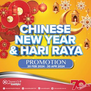 Chinese New Year & Hari Raya Promotion