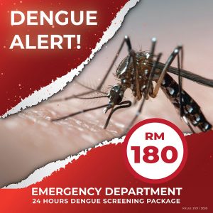 Dengue Alert